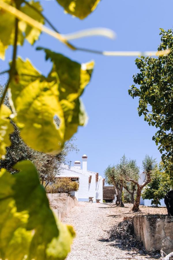Monte Do Pomar Guest House Redondo Luaran gambar